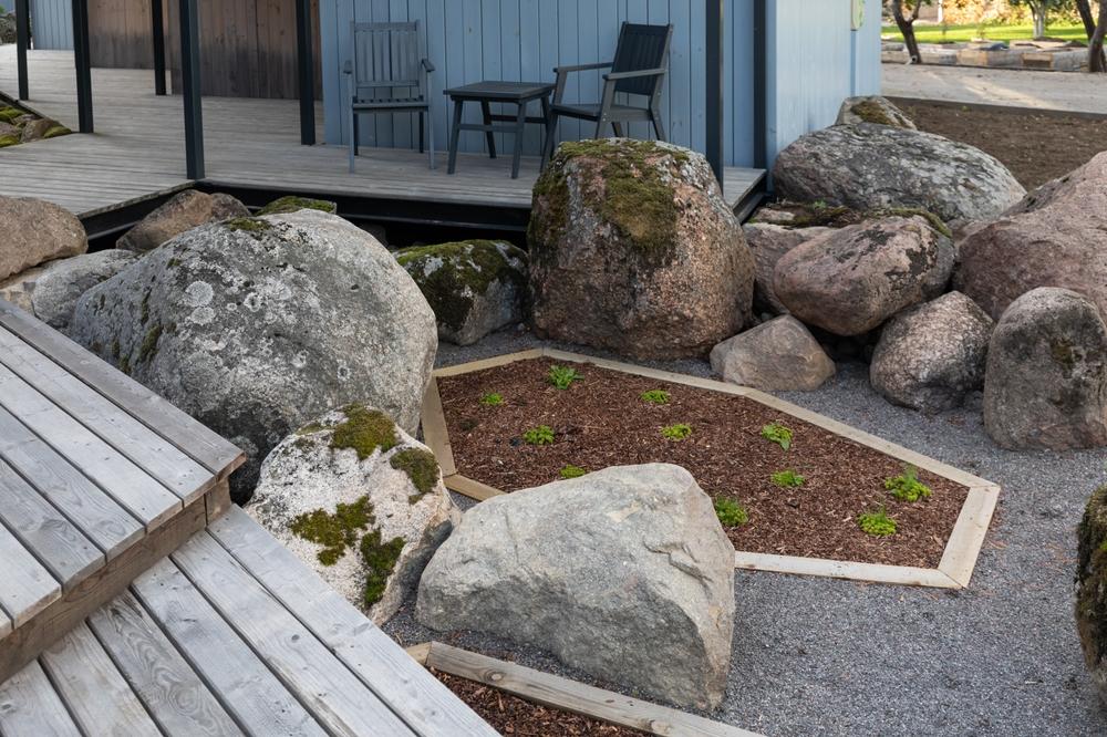 landscape in las vegas